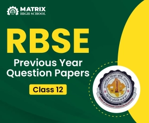 RBSE Previous Year Question Papers Class 12