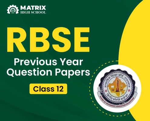 RBSE Previous Year Question Papers Class 12